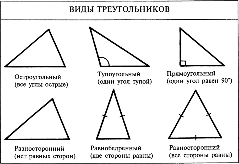 Какие виды треугольников бывают