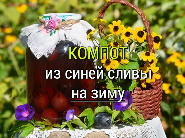 компот из синих слив рецепт