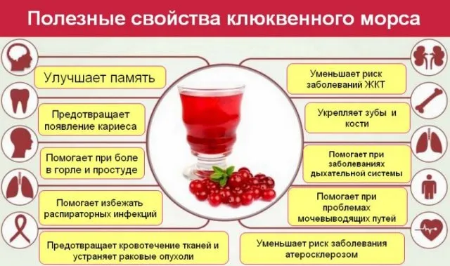 Польза клюквы