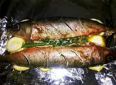 forel