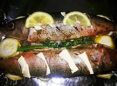 forel