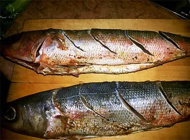 forel